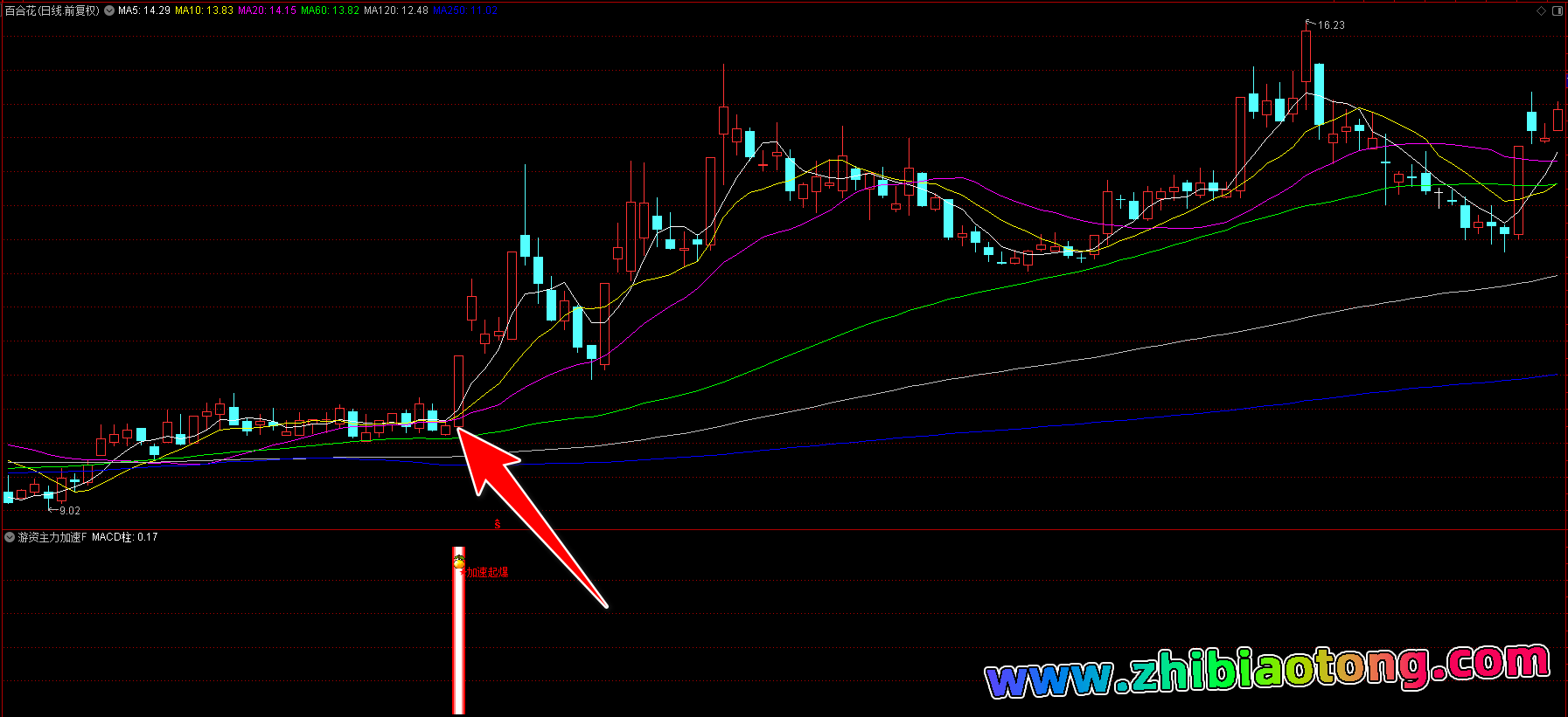 游资主力加速指标