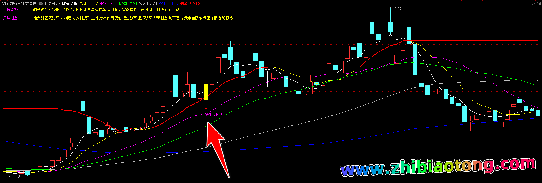 牛股回头指标